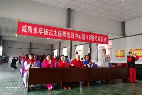 杨氏太极拳培训